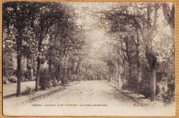 08465 ////////// ANGERS Institution POINEAU Allées GRANDES 1904 à GASTINEAU Suzanne Pensionnat LA PLANTA Sion - Angers