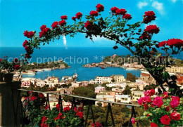 73273141 Porto D Ischia Duchblick Zum Hafen Blumenranken Porto D Ischia - Autres & Non Classés