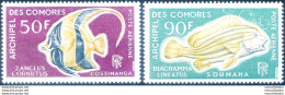 Fauna. Pesci 1968. - Comores (1975-...)