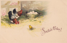 Easter - Chicken Chick Rooster Cock Eggs 1922 - Pâques