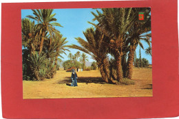 MAROC--- MARRUECOS TIPICO---MAROC TYPIQUE---SUD MAROCAIN--Oasis---voir 2 Scans - Sonstige & Ohne Zuordnung