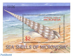 Micronesia 2001 Shells S/s, Eyed Auger, Mint NH, Nature - Shells & Crustaceans - Maritiem Leven