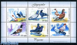 Azerbaijan 2007 Pigeons 6v M/s, Mint NH, Nature - Transport - Various - Birds - Ships And Boats - Mills (Wind & Water) - Schiffe