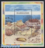 Barbados 1997 Shells S/s, Mint NH, Nature - Shells & Crustaceans - Mundo Aquatico