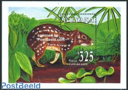 Guyana 1993 Mammals S/s, Cuniculus Paca, Mint NH, Nature - Animals (others & Mixed) - Guyana (1966-...)