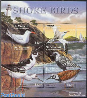 Saint Vincent 2001 Shore Birds 6v M/s (lighthouse On Border), Mint NH, Nature - Various - Birds - Lighthouses & Safety.. - Faros