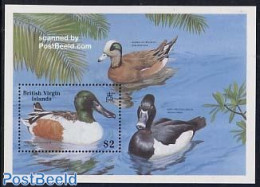 Virgin Islands 1988 WWF, Birds S/s, Mint NH, Nature - Birds - Ducks - World Wildlife Fund (WWF) - Iles Vièrges Britanniques