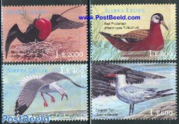 Sierra Leone 2000 Sea Birds 4v, Mint NH, Nature - Birds - Ducks - Sonstige & Ohne Zuordnung