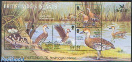 Virgin Islands 2002 Birdlife International S/s, Mint NH, Nature - Bird Life Org. - Birds - Ducks - British Virgin Islands