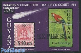 Guyana 1987 Express, Maltheser S/s, Mint NH, Health - Nature - Science - Transport - St John - Birds - Parrots - Astro.. - Christentum