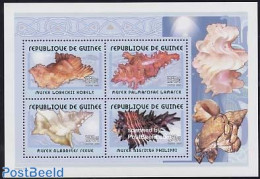 Guinea, Republic 2002 Shells S/s, Mint NH, Nature - Shells & Crustaceans - Vita Acquatica