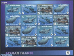 Cayman Islands 2003 WWF, Whales M/s, Mint NH, Nature - Sea Mammals - World Wildlife Fund (WWF) - Cayman (Isole)