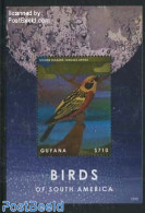 Guyana 2013 Birds Of South America S/s, Mint NH, Nature - Birds - Guiana (1966-...)