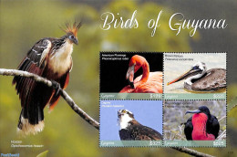 Guyana 2017 Birds Of Guyana 4v M/s, Mint NH, Nature - Birds - Birds Of Prey - Guyane (1966-...)