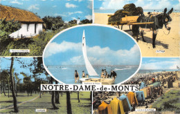 85-NOTRE DAME DE MONTS-N°4466-G/0369 - Altri & Non Classificati