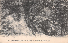 77-FONTAINEBLEAU-N°4467-C/0099 - Fontainebleau