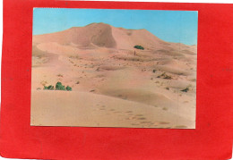 MAROC----ZAGORA----Sable--voir 2 Scans - Autres & Non Classés