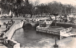 30-NIMES-N°4467-E/0183 - Nîmes