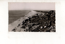 LEUCATE-PLAGE   (carte Photo) - Other & Unclassified