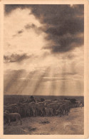 13-COUCHER DE SOLEIL SUR LA PROVENCE-N°4467-H/0029 - Altri & Non Classificati