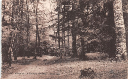 13-FORET DE LA SAINTE BAUME-N°4467-F/0195 - Altri & Non Classificati