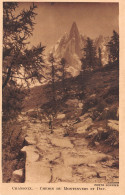 74-CHAMONIX-N°4467-H/0183 - Chamonix-Mont-Blanc