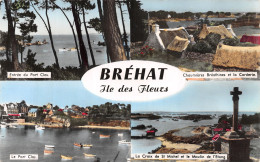 22-ILE DE BREHAT-N°4468-E/0067 - Ile De Bréhat