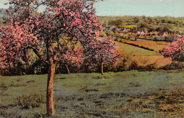 76-VERS LE PETIT HAMEAU EN NORMANDIE-N°4468-C/0065 - Autres & Non Classés