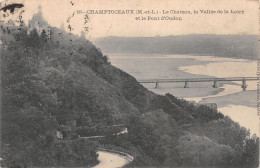 49-CHAMPTOCEAUX LE CHATEAU-N°4471-B/0025 - Champtoceaux