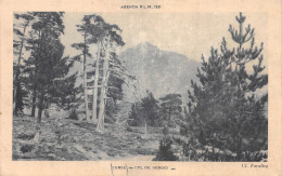 20-CORSE COL DE VERGIO-N°4472-B/0031 - Andere & Zonder Classificatie