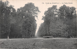 60-CHANTILLY LA FORET-N°4472-A/0111 - Chantilly