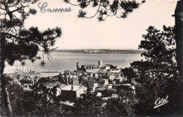 06-CANNES-N°4471-G/0281 - Cannes