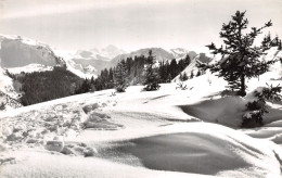 74-MORZINE-N°4472-D/0205 - Morzine