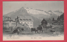 Rieder - Furka  ( Voir Verso ) - Riederalp