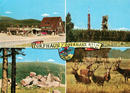 73270828 Torfhaus Harz Sporthotel Brockenblick Torfhaus Harz - Altenau