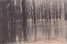 C11-55) LIGNY  EN BARROIS  - MEUSE - LE PARC  PENDANT LA CRUE DE L ' ORNAIN  - 19 JANVIER 1910 - ( 2 SCANS ) - Ligny En Barrois
