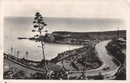 66-COLLIOURE-N°4473-B/0377 - Collioure