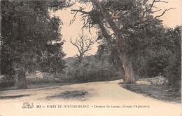 77-FONTAINEBLEAU-N°4473-G/0365 - Fontainebleau