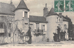 77-CHATEAU LANDON-N°4473-G/0305 - Chateau Landon