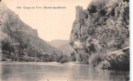 48-GORGES DU TARN-N°4473-G/0141 - Gorges Du Tarn