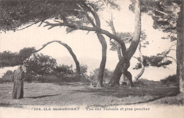 06-ILE SAINT HONORAT-N°4474-D/0069 - Autres & Non Classés