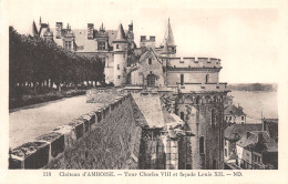 37-AMBOISE-N°4474-D/0021 - Amboise