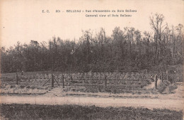 02-BELLEAU-N°4474-C/0271 - Sonstige & Ohne Zuordnung