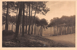 33-ARCACHON-N°4474-B/0243 - Arcachon