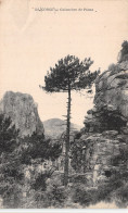 20-CORSE PIANA-N°4474-B/0227 - Sonstige & Ohne Zuordnung