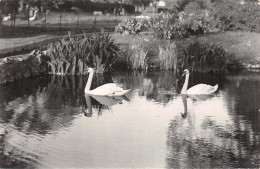 75-PARIS BOIS DE BOULOGNE-N°4474-B/0013 - Sonstige & Ohne Zuordnung