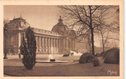 75-PARIS PETIT PALAIS-N°4474-F/0193 - Autres & Non Classés