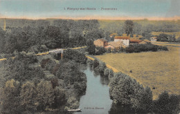 51-PARGNY SUR SAULX-N°4474-H/0267 - Pargny Sur Saulx