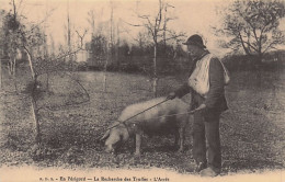 24 - Dordogne - En Perigord  - La Recherche Des Truffes - L'arret-  Reproduction Cecodi - Altri & Non Classificati