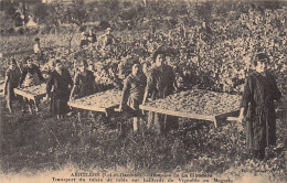 47 - AIGUILLON - Domaine De La Cibardere - Transport Du Raisin De Table Sur Baillards -   Reproduction Cecodi - Sonstige & Ohne Zuordnung